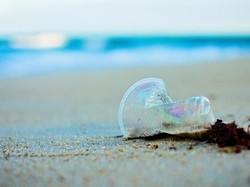 Sungai Watch Desak Produsen AMDK Setop Kemasan Gelas Plastik