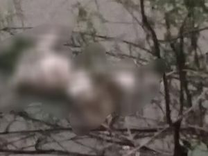 Mayat Mr X Tanpa Busana Ditemukan Mengapung di Sungai Musi Rawas