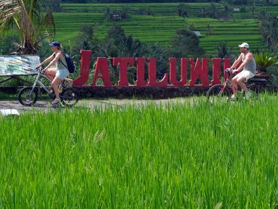 Asyiknya Bersepeda di Tengah Persawahan Jatiluwih Bali