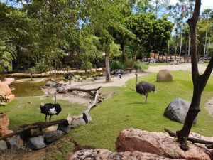 Sistem Nontunai di Taman Rekreasi Pulau Dewata Sistem Nontunai di Taman Rekreasi Pulau Dewata