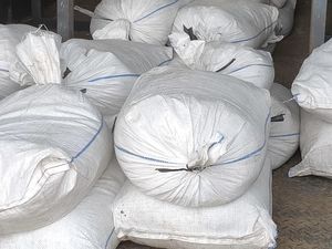 Penyelundupan Timah Ilegal di Bangka Barat Sudah 2 Kali, Aksi Pertama Lolos Penyelundupan Timah Ilegal di Bangka Barat Sudah 2 Kali, Aksi Pertama Lolos