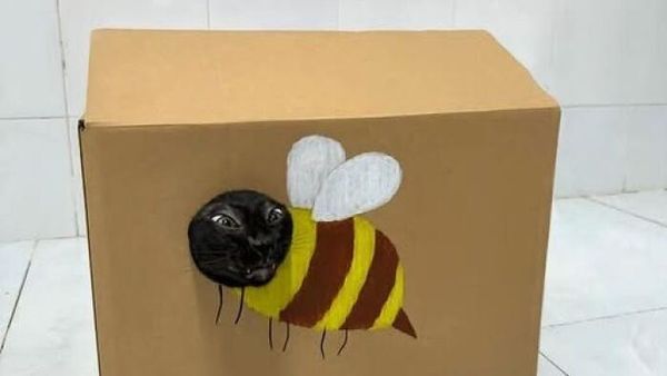 Kumpulan Foto Tingkah Lucu Hewan Bikin Senyum-senyum