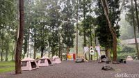 Glamping Sambil Nikmati Alam Pujon Malang