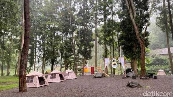 Glamping Sambil Nikmati Alam Pujon Malang