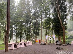 Glamping Sambil Nikmati Alam Pujon Malang Glamping Sambil Nikmati Alam Pujon Malang