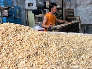Petani AS Merana Imbas Ekspor Kedelai Terganggu Aturan Trump Petani AS Merana Imbas Ekspor Kedelai Terganggu Aturan Trump