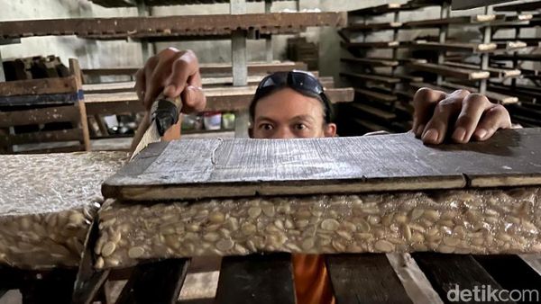Dampak Harga Kedelai Naik, Perajin Tempe Kurangi Ukuran
