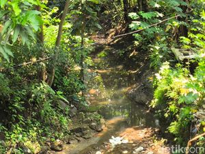 Warga Cirebon Rela Turun ke Sungai demi Tumpahan Minyak Warga Cirebon Rela Turun ke Sungai demi Tumpahan Minyak