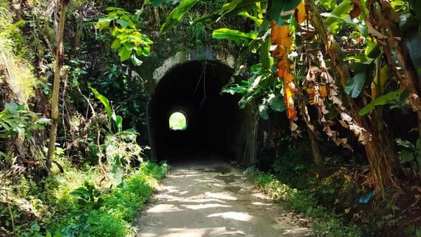 Penampakan Jalur Kereta Pangandaran yang Mau Dihidupkan Lagi