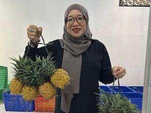 NanasQu Binaan Pertamina Gandeng 900 Petani Lokal & Tembus Pasar Ekspor