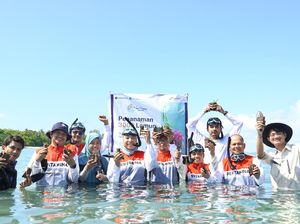 Jaga Kelestarian Laut, PIS Tanam 3.000 Bibit Lamun di Teluk Bakau Bintan Jaga Kelestarian Laut, PIS Tanam 3.000 Bibit Lamun di Teluk Bakau Bintan