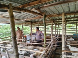 Warga Sidoarjo Diajak Bertani dan Beternak demi Ketahanan Pangan