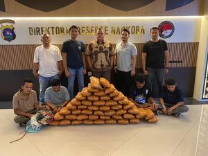 4 Pelaku Peredaran 47 Kg Ganja di Sumbar Dibayar Rp 2 Juta-12 Paket Narkoba 4 Pelaku Peredaran 47 Kg Ganja di Sumbar Dibayar Rp 2 Juta-12 Paket Narkoba