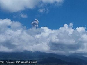 Semeru Erupsi 6 Kali Hari Ini, Tinggi Kolom Abu Capai 800 Meter Semeru Erupsi 6 Kali Hari Ini, Tinggi Kolom Abu Capai 800 Meter