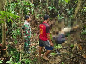 Guru SMP Hilang Misterius di Buton Utara Ditemukan Tewas Dalam Hutan Guru SMP Hilang Misterius di Buton Utara Ditemukan Tewas Dalam Hutan