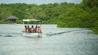 Menjelajahi WIsata Susur Hutan Mangrove di Bali