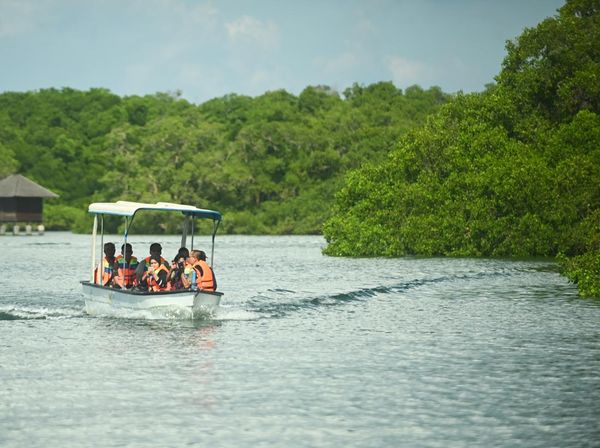 Menjelajahi WIsata Susur Hutan Mangrove di Bali