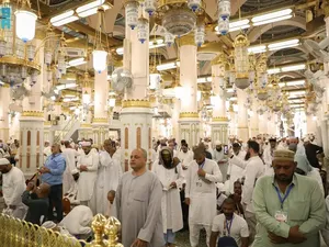 13 Juta Umat Islam Salat di Taman Surga Masjid Nabawi Sepanjang 2024 13 Juta Umat Islam Salat di Taman Surga Masjid Nabawi Sepanjang 2024