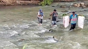 Melawan Arus, Perjuangan Guru dan Siswa Menyebrangi Sungai Cikaso