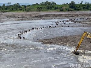 Ratusan Warga Berburu Ikan Mabuk Saat Flushing Bendungan di Blitar Ratusan Warga Berburu Ikan Mabuk Saat Flushing Bendungan di Blitar