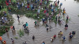Sungai Brantas Meluap, Warga Berburu Ikan Mabuk