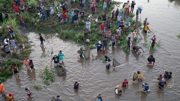 Sungai Brantas Meluap, Warga Berburu Ikan Mabuk