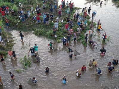 Sungai Brantas Meluap, Warga Berburu Ikan Mabuk