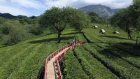 Wisata Bukit Kuneer di Malang Jadi Favorit Wisatawan