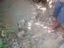 Heboh Anak Disebut Rendam Ibu di Kubangan Lumpur, Polres Nias Turun Tangan