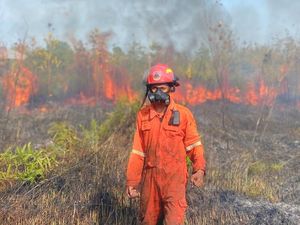 Kemarau di Depan Mata, BPBD Kaltara Gencarkan Mitigasi Karhutla Kemarau di Depan Mata, BPBD Kaltara Gencarkan Mitigasi Karhutla