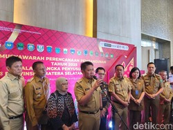 Upaya Herman Deru Ajak Maskapai Buka Rute Penerbangan Internasional