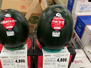 10 Melon Terbaik di Dunia Versi Taste Atlas, Tak Hanya Melon Jepang!