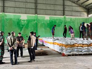 Bulog Pinrang Sewa Gudang TNI-Swasta Tampung Gabah dan Beras Petani Bulog Pinrang Sewa Gudang TNI-Swasta Tampung Gabah dan Beras Petani