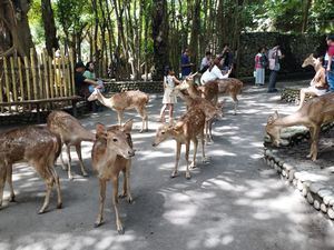 Aneka Manfaat Sistem Nontunai di Objek Wisata Aneka Manfaat Sistem Nontunai di Objek Wisata