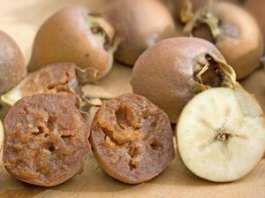 5 Buah dan Sayur Ini Pernah Ada Tapi Sekarang Lenyap!