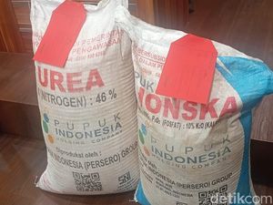 Pupuk Subsidi di Pulang Pisau Dijual ke Palangka Raya hingga 8 Ton