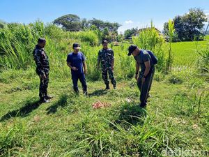 Warga Gontor Ponorogo Resah, 3 Ekor Kambing Mati Dimangsa Anjing Liar Warga Gontor Ponorogo Resah, 3 Ekor Kambing Mati Dimangsa Anjing Liar