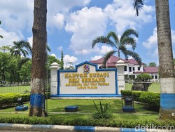 Pemkab Deli Serdang Mendadak Tunda Pelantikan 4.000 PPPK Paruh Waktu Pemkab Deli Serdang Mendadak Tunda Pelantikan 4.000 PPPK Paruh Waktu