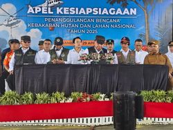 BNPB Sebut 6 Provinsi Jadi Prioritas Penanganan Karhutla, Riau Darurat
