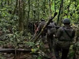 Anggota Brimob Disengat Lebah Saat Misi Pencarian Iptu Tomi, Sempat Kritis Anggota Brimob Disengat Lebah Saat Misi Pencarian Iptu Tomi, Sempat Kritis