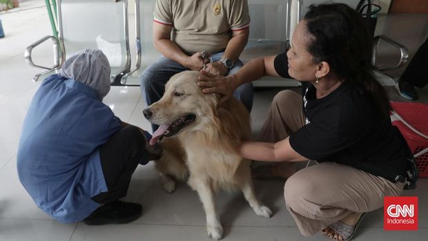 Sejumlah pemilik kucing dan anjing antre memeriksa kesehatan hewan peliharaan mereka di Pos Layanan Terpadu Kesehatan Hewan (POSYANDUWAN) di Kecamatan Rawa Lumbu, Kota Bekasi, Selasa, 29 April 2025. Pos Layanan Terpadu Kesehatan Hewan (POSYANDUWAN) adalah layanan kesehatan hewan yang diselenggarakan oleh Dinas Pertanian dan Pangan (DKPPP) Kota Bekasi untuk memberikan pelayanan kesehatan hewan secara terpadu. CNN Indonesia/Safir Makki
