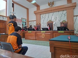 Terdakwa Pemilik Ladang Ganja di TNBTS Dihukum 20 Tahun Penjara-Denda Rp 1 M