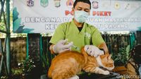 Antisipasi Rabies, Ribuan Hewan Peliharaan di Jaksel Divaksin Gratis