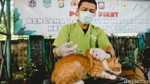 Antisipasi Rabies, Ribuan Hewan Peliharaan di Jaksel Divaksin Gratis