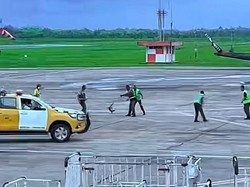 Viral Biawak Masuk Apron Bandara Supadio Pontianak, Ternyata Peristiwa Lama