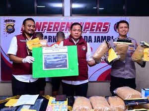 Polda Jambi Gagalkan Penyelundupan 11 Kg Ganja, 2 Tersangka Ditangkap