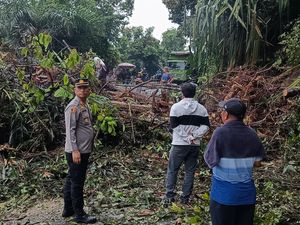 Jalan Lintas Nasional Pekanbaru-Kuansing Longsor, Akses Sempat Putus Total Jalan Lintas Nasional Pekanbaru-Kuansing Longsor, Akses Sempat Putus Total