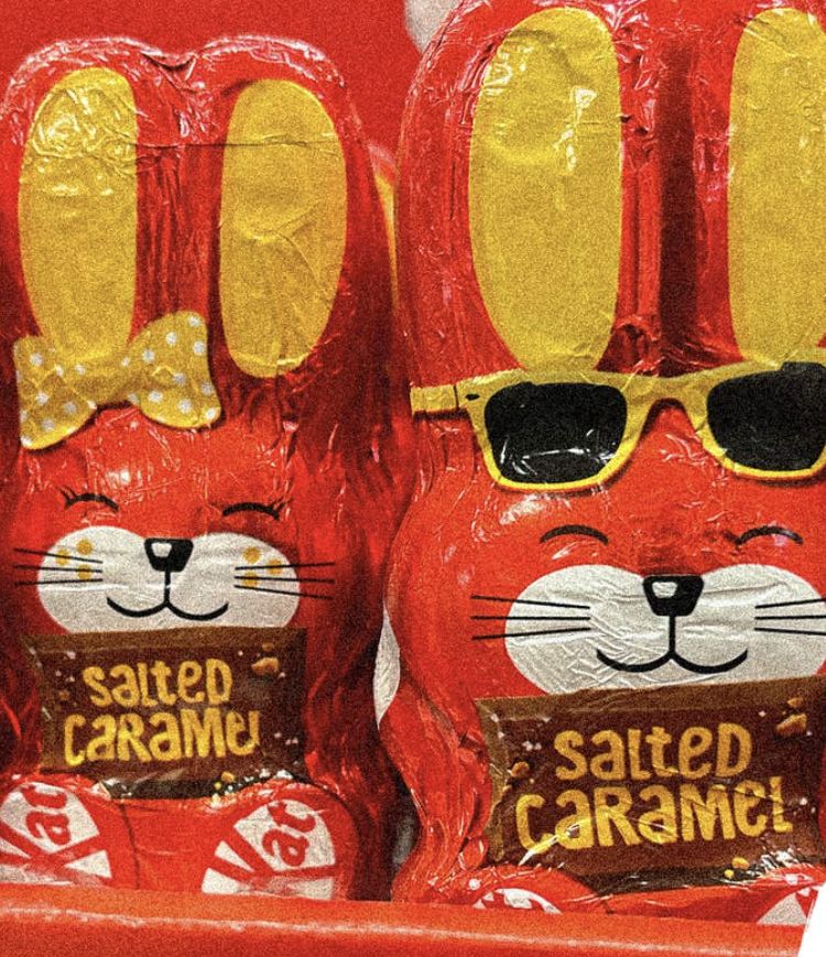 Ngeri! Wanita Ini Temukan Sarang Serangga di Dalam Cokelat