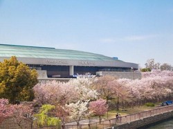 Ada Beasiswa Kuliah di Jepang untuk S1 hingga S3, Ini Persyaratannya