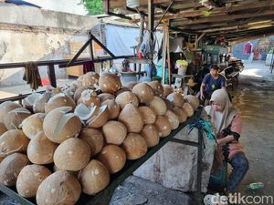 Ekspor Kelapa Mau Diatur biar Harganya Tak Mahal, Ini Bocorannya Ekspor Kelapa Mau Diatur biar Harganya Tak Mahal, Ini Bocorannya